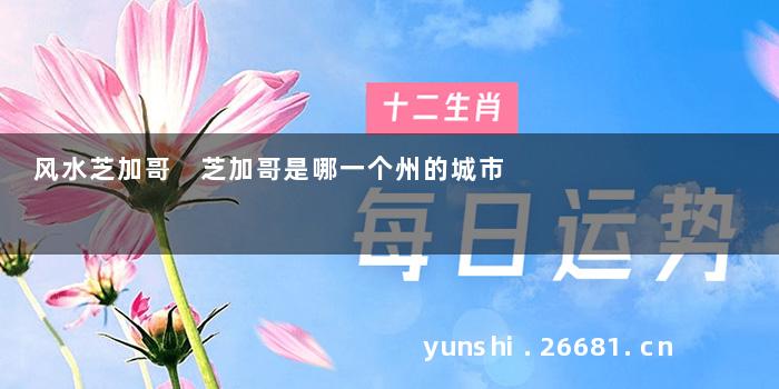 风水芝加哥 芝加哥是哪一个州的城市